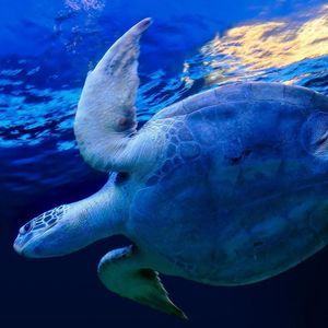 Meet your Posher, Kristyn